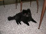 2007-0617-0917-19.jpg